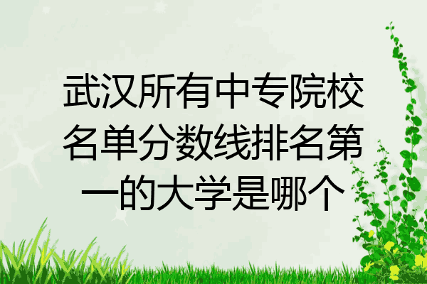 武汉所有中专院校名单分数线排名第一的大学是哪个
