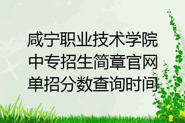 咸宁职业技术学院中专招生简章官网单招分数查询时间