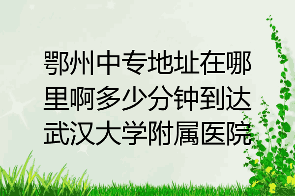 鄂州中专地址在哪里啊多少分钟到达武汉大学附属医院