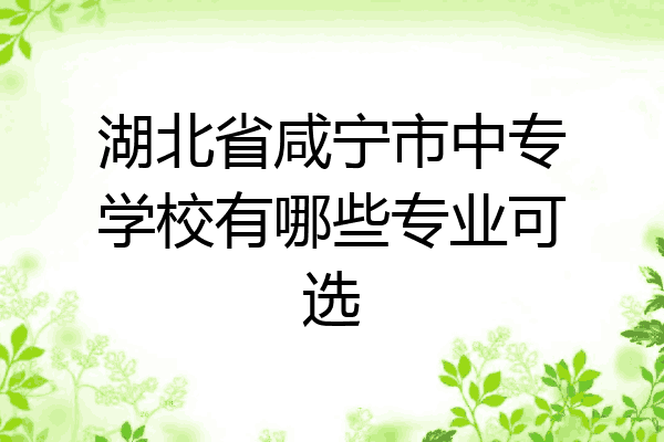 湖北省咸宁市中专学校有哪些专业可选