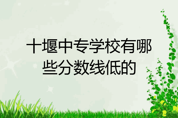 十堰中专学校有哪些分数线低的