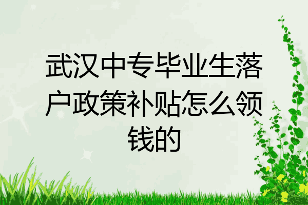 武汉中专毕业生落户政策补贴怎么领钱的
