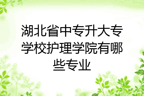 湖北省中专升大专学校护理学院有哪些专业