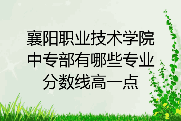 襄阳职业技术学院中专部有哪些专业分数线高一点