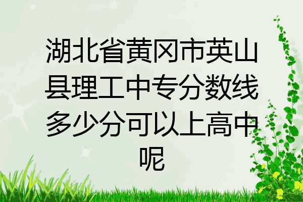 湖北省黄冈市英山县理工中专分数线多少分可以上高中呢