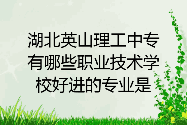 湖北英山理工中专有哪些职业技术学校好进的专业是