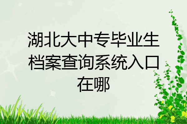 湖北大中专毕业生档案查询系统入口在哪