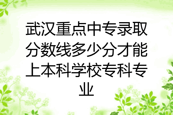 武汉重点中专录取分数线多少分才能上本科学校专科专业