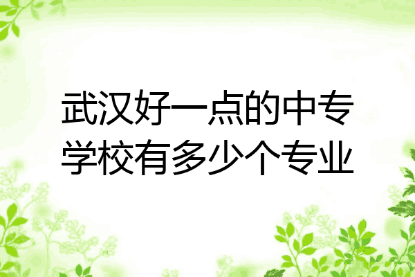 武汉好一点的中专学校有多少个专业