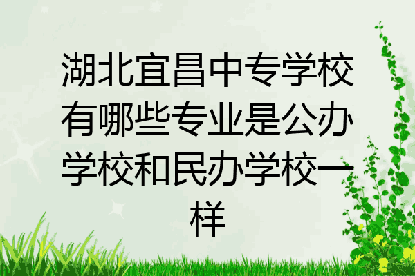 湖北宜昌中专学校有哪些专业是公办学校和民办学校一样