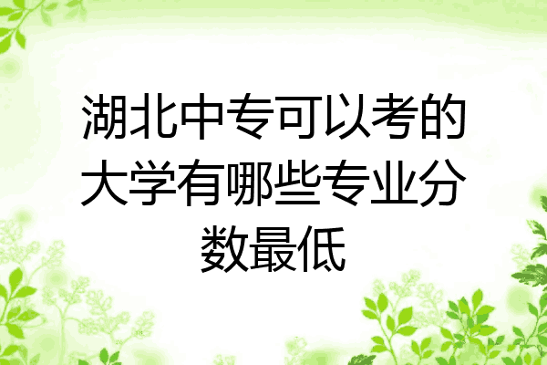 湖北中专可以考的大学有哪些专业分数最低