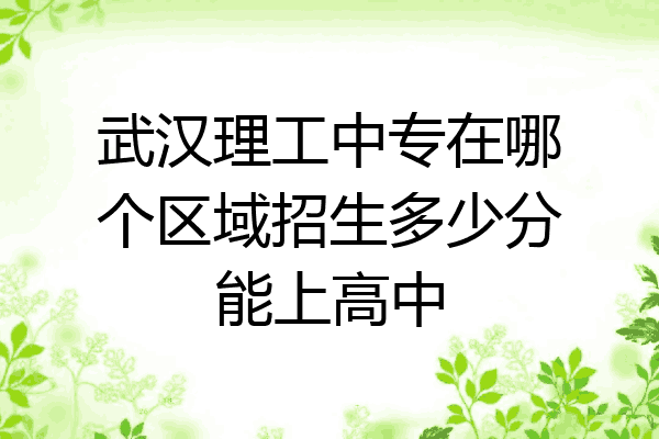 武汉理工中专在哪个区域招生多少分能上高中