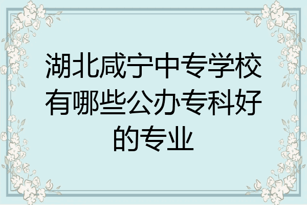 湖北咸宁中专学校有哪些公办专科好的专业