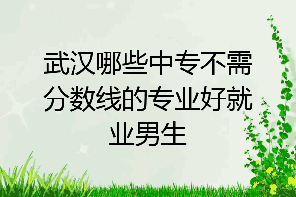 武汉哪些中专不需分数线的专业好就业男生