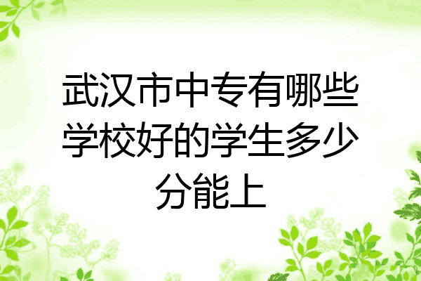 武汉市中专有哪些学校好的学生多少分能上