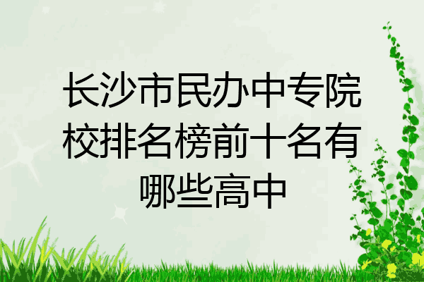 长沙市民办中专院校排名榜前十名有哪些高中