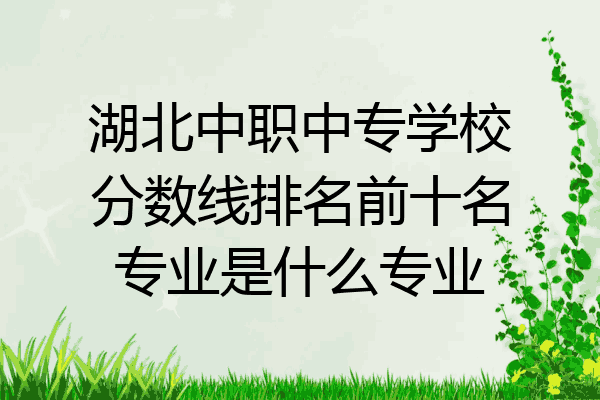 湖北中职中专学校分数线排名前十名专业是什么专业