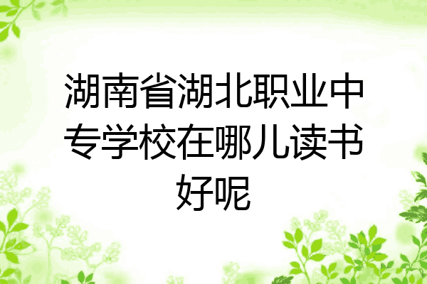 湖南省湖北职业中专学校在哪儿读书好呢