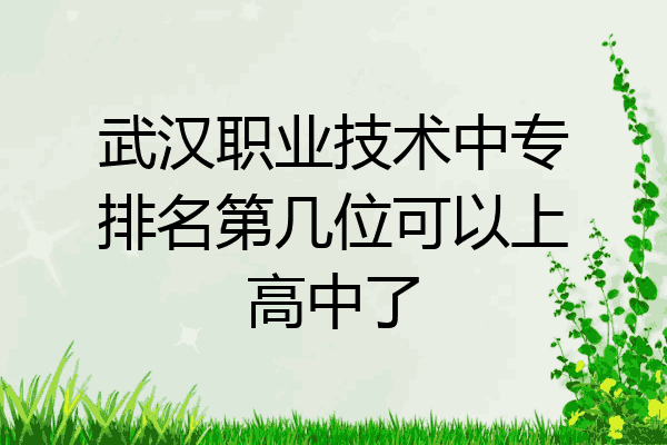 武汉职业技术中专排名第几位可以上高中了