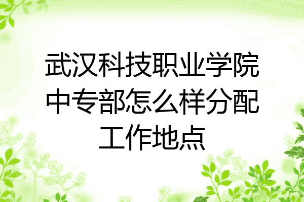 武汉科技职业学院中专部怎么样分配工作地点
