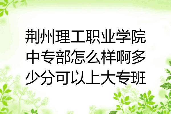 荆州理工职业学院中专部怎么样啊多少分可以上大专班
