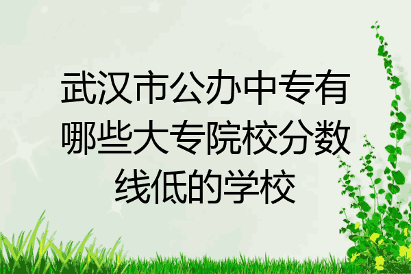 武汉市公办中专有哪些大专院校分数线低的学校