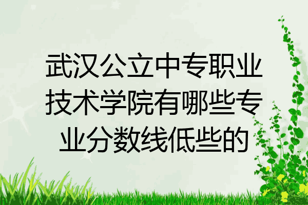 武汉公立中专职业技术学院有哪些专业分数线低些的