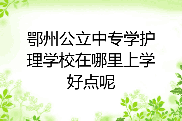 鄂州公立中专学护理学校在哪里上学好点呢
