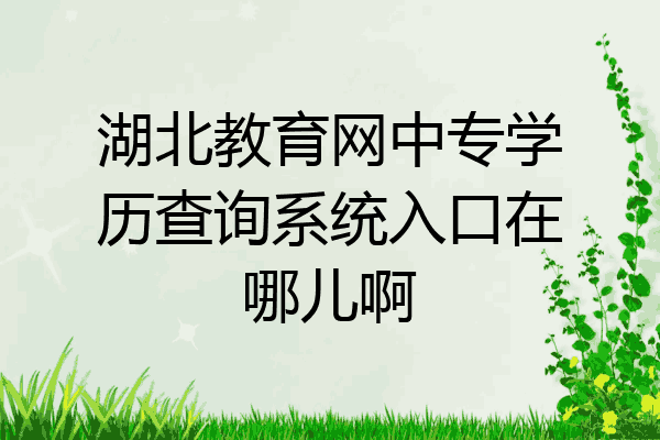 湖北教育网中专学历查询系统入口在哪儿啊