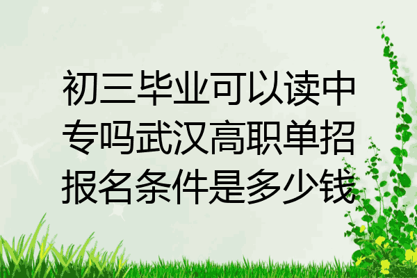 初三毕业可以读中专吗武汉高职单招报名条件是多少钱