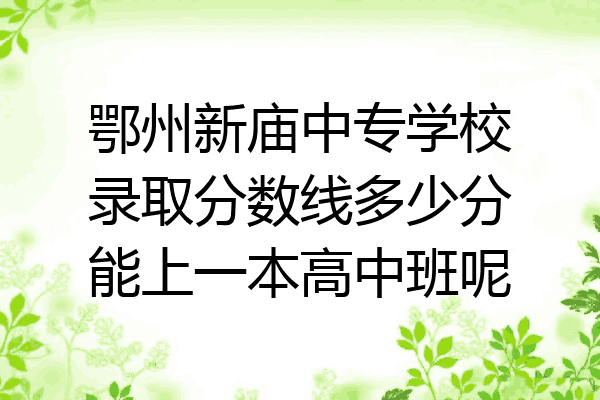鄂州新庙中专学校录取分数线多少分能上一本高中班呢