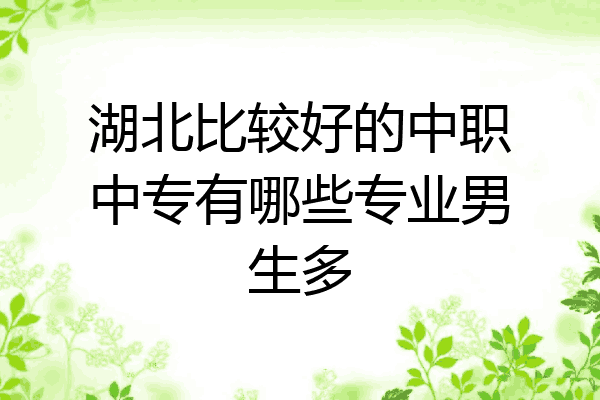 湖北比较好的中职中专有哪些专业男生多