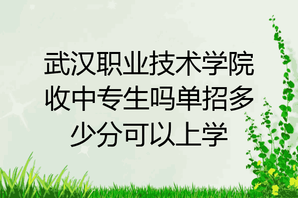 武汉职业技术学院收中专生吗单招多少分可以上学
