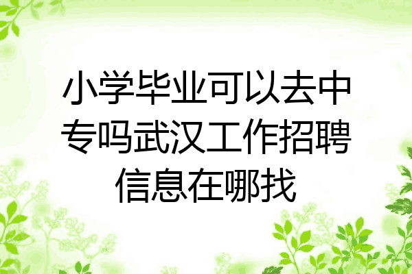 小学毕业可以去中专吗武汉工作招聘信息在哪找