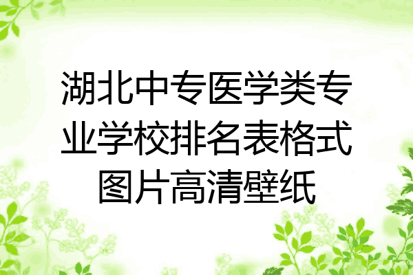 湖北中专医学类专业学校排名表格式图片高清壁纸