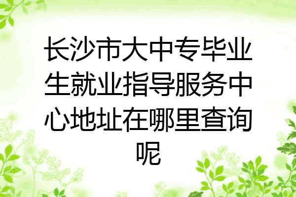 长沙市大中专毕业生就业指导服务中心地址在哪里查询呢