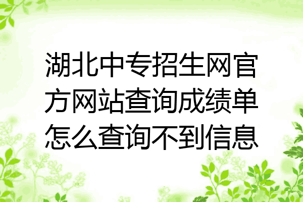 湖北中专招生网官方网站查询成绩单怎么查询不到信息