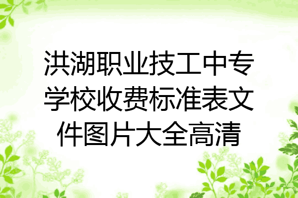 洪湖职业技工中专学校收费标准表文件图片大全高清
