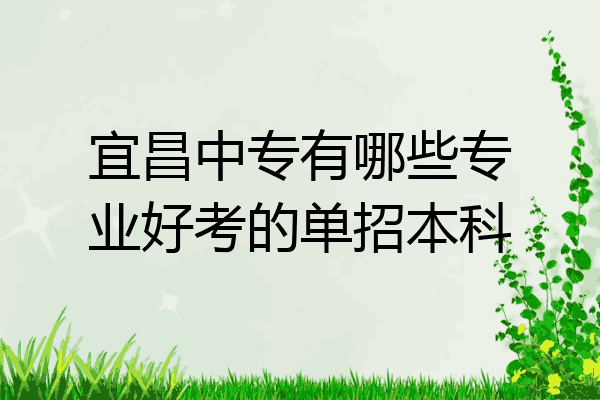 宜昌中专有哪些专业好考的单招本科