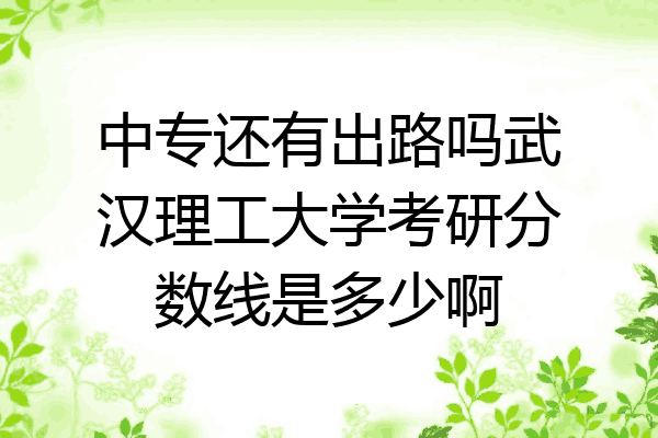 中专还有出路吗武汉理工大学考研分数线是多少啊