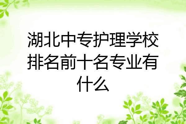 湖北中专护理学校排名前十名专业有什么