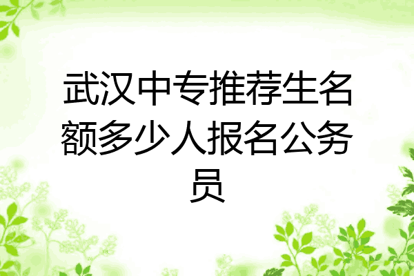 武汉中专推荐生名额多少人报名公务员