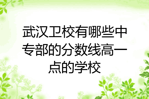 武汉卫校有哪些中专部的分数线高一点的学校