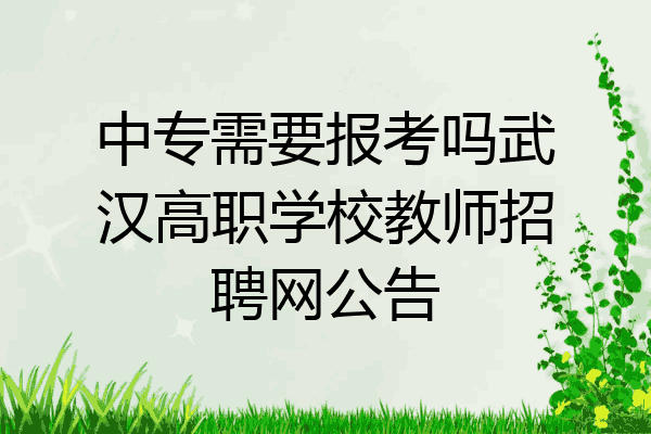 中专需要报考吗武汉高职学校教师招聘网公告