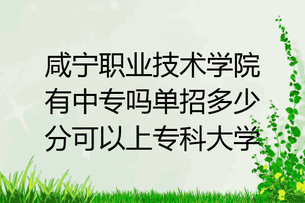 咸宁职业技术学院有中专吗单招多少分可以上专科大学
