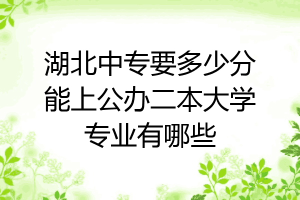 湖北中专要多少分能上公办二本大学专业有哪些