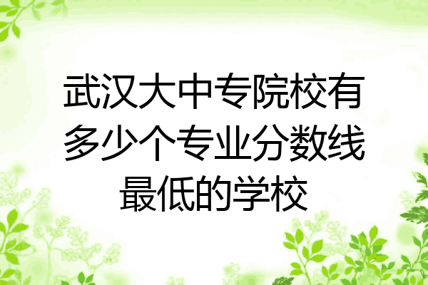武汉大中专院校有多少个专业分数线最低的学校
