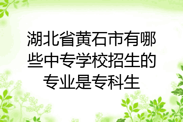 湖北省黄石市有哪些中专学校招生的专业是专科生