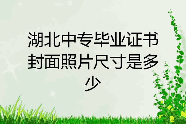 湖北中专毕业证书封面照片尺寸是多少