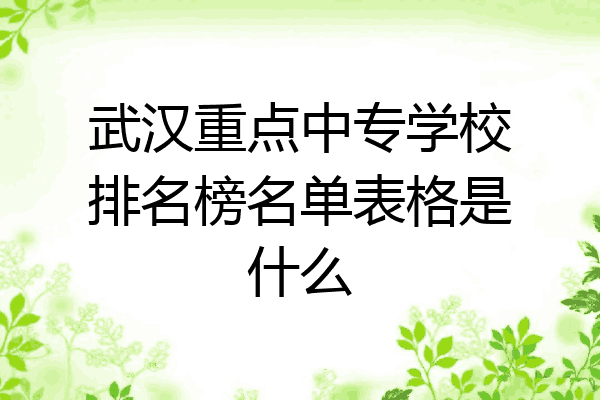 武汉重点中专学校排名榜名单表格是什么